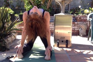 Ustrasana, Camel Pose